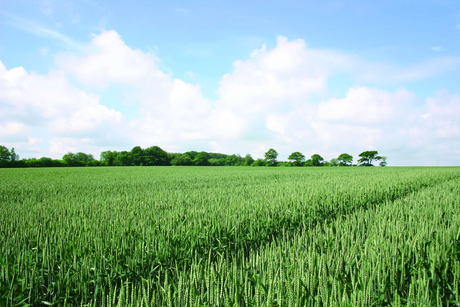 ’Cluster’ make work on the farm a lot easier! - Agrinavia